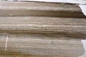 Plane Polarized, E55425/B