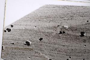 Plane Polarized, E55448