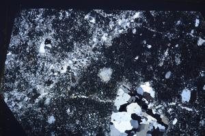 Cross Polarized, E55493