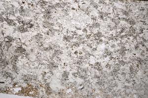 Plane Polarized, E55547