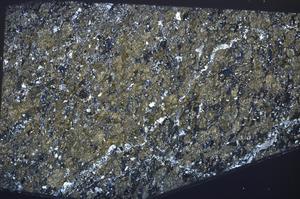 Cross Polarized, E55549