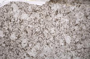 Plane Polarized, E55598