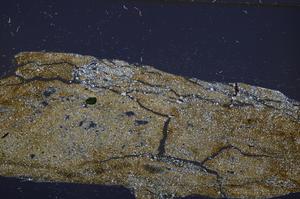 Cross Polarized, E57214