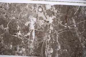 Plane Polarized, E56358