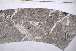 Plane Polarized, E56422
