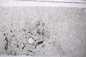 Plane Polarized, E56424