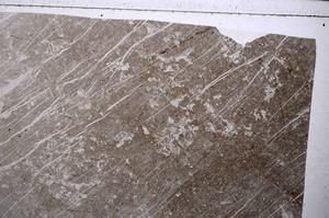 Plane Polarized, E56427