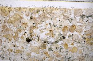 Plane Polarized, E56437/A