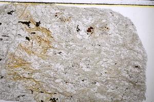 Plane Polarized, E56712