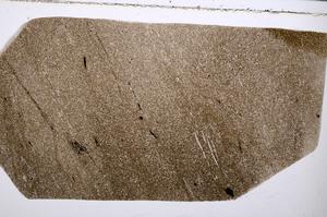 Plane Polarized, E56761