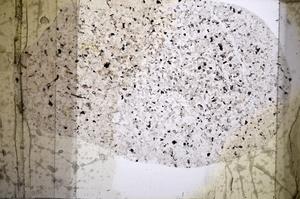 Plane Polarized, E56817