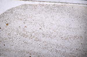 Plane Polarized, E56936