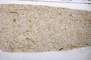Plane Polarized, E56939