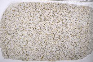 Plane Polarized, E56941