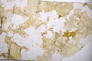 Plane Polarized, E57173