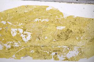Plane Polarized, E57174