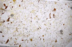 Plane Polarized, E57179/A