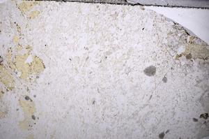 Plane Polarized, E57182