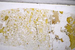 Plane Polarized, E57187