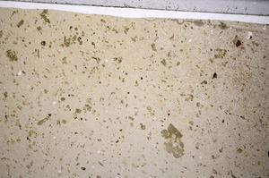 Plane Polarized, E57222