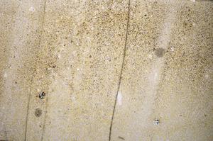 Plane Polarized, E57225