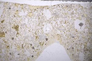 Plane Polarized, E57226