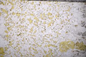 Plane Polarized, E57227/A