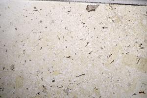 Plane Polarized, E57229