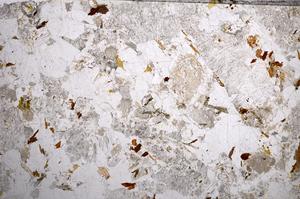 Plane Polarized, E57239