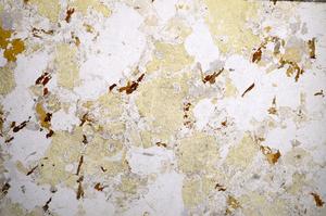 Plane Polarized, E57255/A