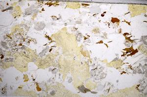 Plane Polarized, E57261