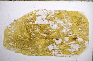 Plane Polarized, E57280