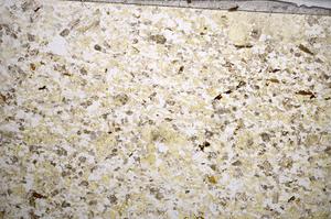 Plane Polarized, E57285/A