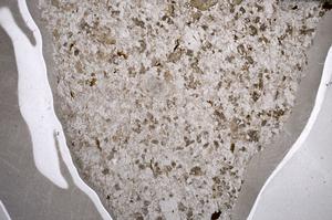 Plane Polarized, E57285/B