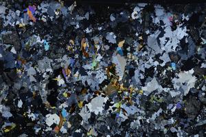 Cross Polarized, E57291