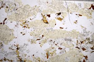 Plane Polarized, E57292