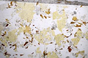 Plane Polarized, E57293/A