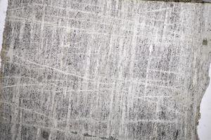 Plane Polarized, E57297
