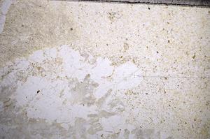 Plane Polarized, E57299