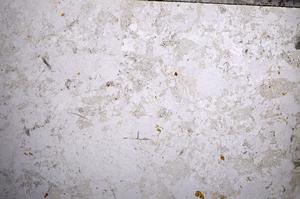 Plane Polarized, E57333