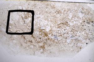 Plane Polarized, E57423