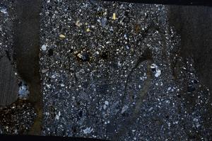 Cross Polarized, E57458