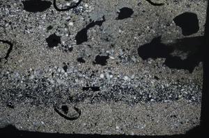 Cross Polarized, E57626