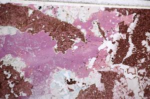 Plane Polarized, E57691