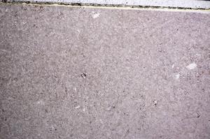 Plane Polarized, E57696