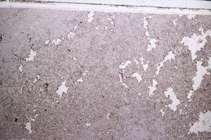 Plane Polarized, E57697