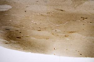 Plane Polarized, E57726/B