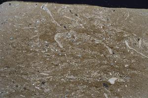 Cross Polarized, E57730