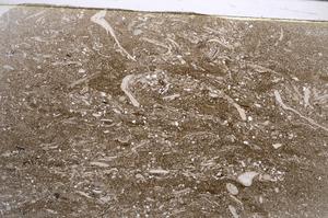 Plane Polarized, E57730