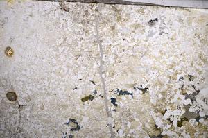 Plane Polarized, E57773